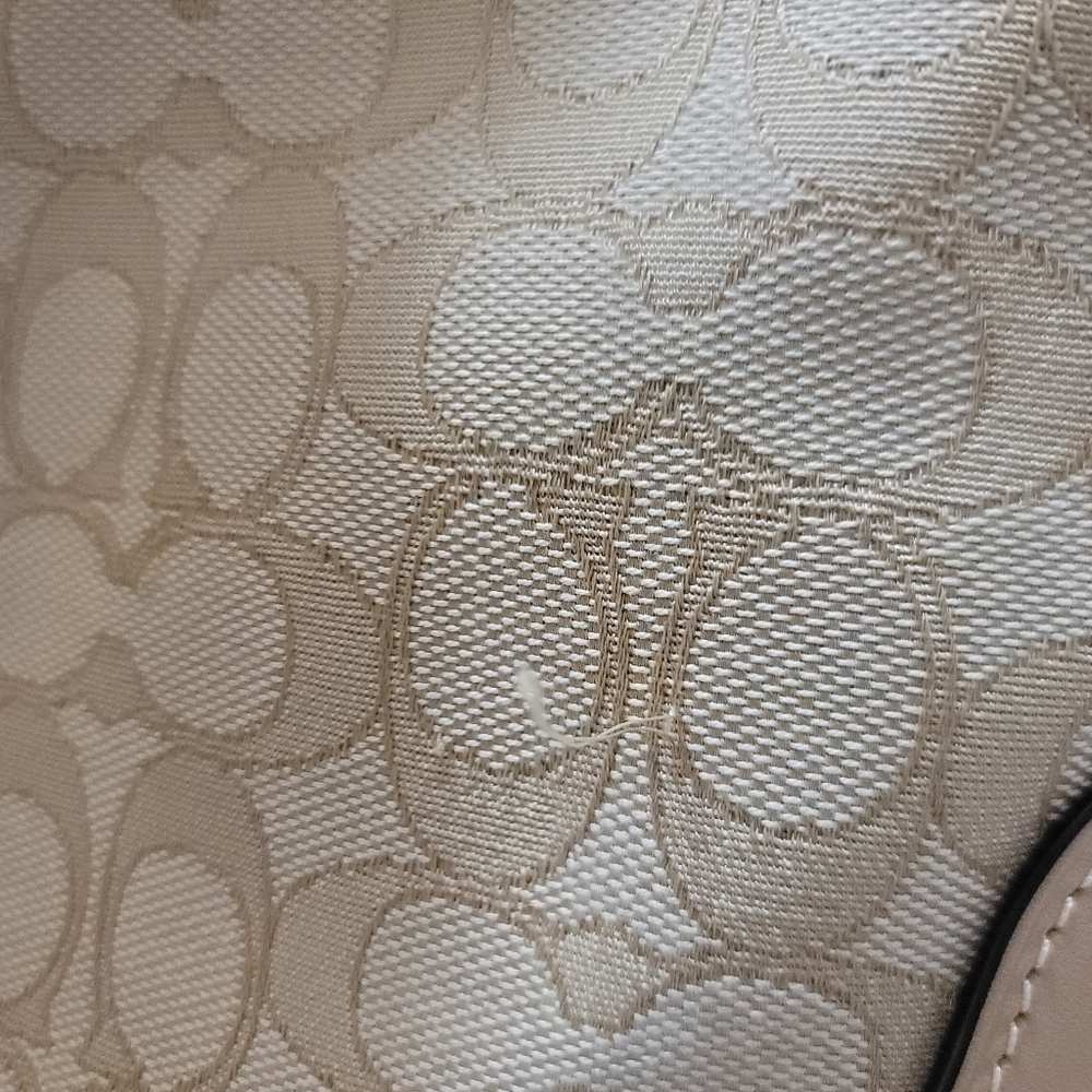 Coach "Evie" Hobo Shoulder Bag Beechwood - Picture 9 of 10